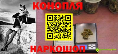 сатива Канаш