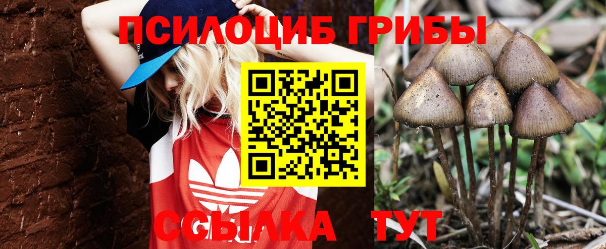 Галлюциногенные грибы GOLDEN TEACHER  Галлюциногенные грибы MAGIC MUSHROOMS  Вход с VPN  Иваново 
