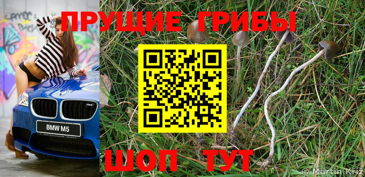 Галлюциногенные грибы Magic Shrooms Иваново